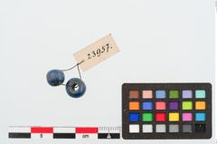 Foto von Glasperle (NHMW-PRAE-023957)
